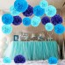 Cocodeko 18 Pezzi Pompon in Carta Velina Decorativo Palla Fiore per il Compleanno Decorazione Della Festa Nuziale - Blu Blu Scuro e Blu Azzurro - W2KGUGU61
