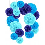 Cocodeko 18 Pezzi Pompon in Carta Velina Decorativo Palla Fiore per il Compleanno Decorazione Della Festa Nuziale - Blu  Blu Scuro e Blu Azzurro - W2KGUGU61