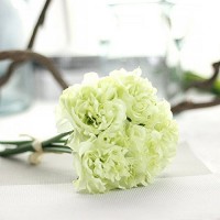 Artificiale peonia  wedding bouquet di fiori finti – per sposa ortensia Decor  home decor – 5 teste – Priams 7  Apple Green  5 Heads/1 Bouquet - JFE7S3UZ5