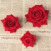 LUFA La testa di seta artificiale del fiore della Rosa per i pattini della testa di DIY calza la decorazione di cerimonia nuziale 6cm & rosso - II7Q1J1MW