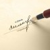 Penna stilografica Maleden vintage Realizzato artigianalmente in legno di palissandro calligrafia penna con inchiostro refill convertitore e pennino medio per fine writing Executive Signature custodia in pelle PU per exquisite Gift - OV7LGT4V5