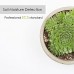 Test per Plant Terreno OLLIVAN Xiaomi 4-in-1 Bluetooth Smart Pianta Monitor Pianta Nutrizione / Temperatura del Suolo / Umidità / Illuminazione Tester Con APP Application per Giardino agricole Prato interni ed esterni - CLSP17GZI