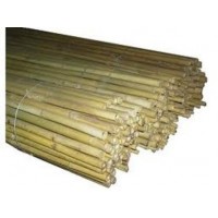 10 canne bamboo bambù pareti divisorie pali pomodori piante rampicanti h. 210 cm diametro 26-28 - B95BI6LEY