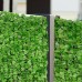 Blumfeldt Fency Dark Ivy Recinto Edera Giardino Terrazze Balconi Antivento Privacy (300 x 100 cm Fitto fogliame montaggio rapido) Verde Chiaro - CCE7E9N2J