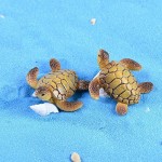 jakerbing in miniatura della tartaruga per bonsai Fata Giardino Di Paesaggio Decor - EZFPXXOEQ