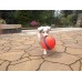 Chuckit calcio Fetch cane giocattolo 19cm di grandi dimensioni - 8JTMHGFBK