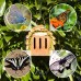 Gardigo casa delle farfalle zur farfalla coltivate e decorativa da giardino naturholzfarben - O4U5EQX27